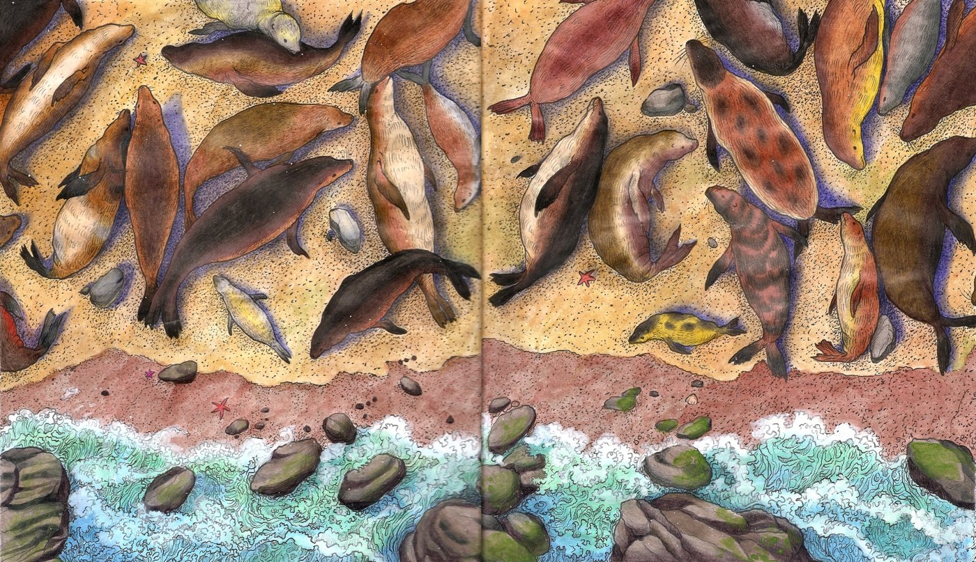 Морские львы от Velle E.