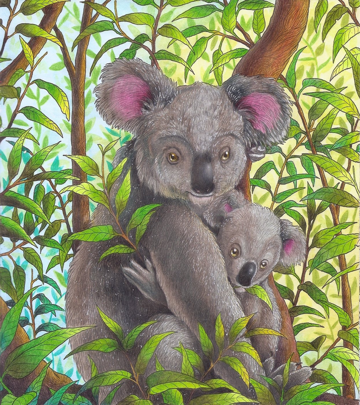 Коалы от Velle E.