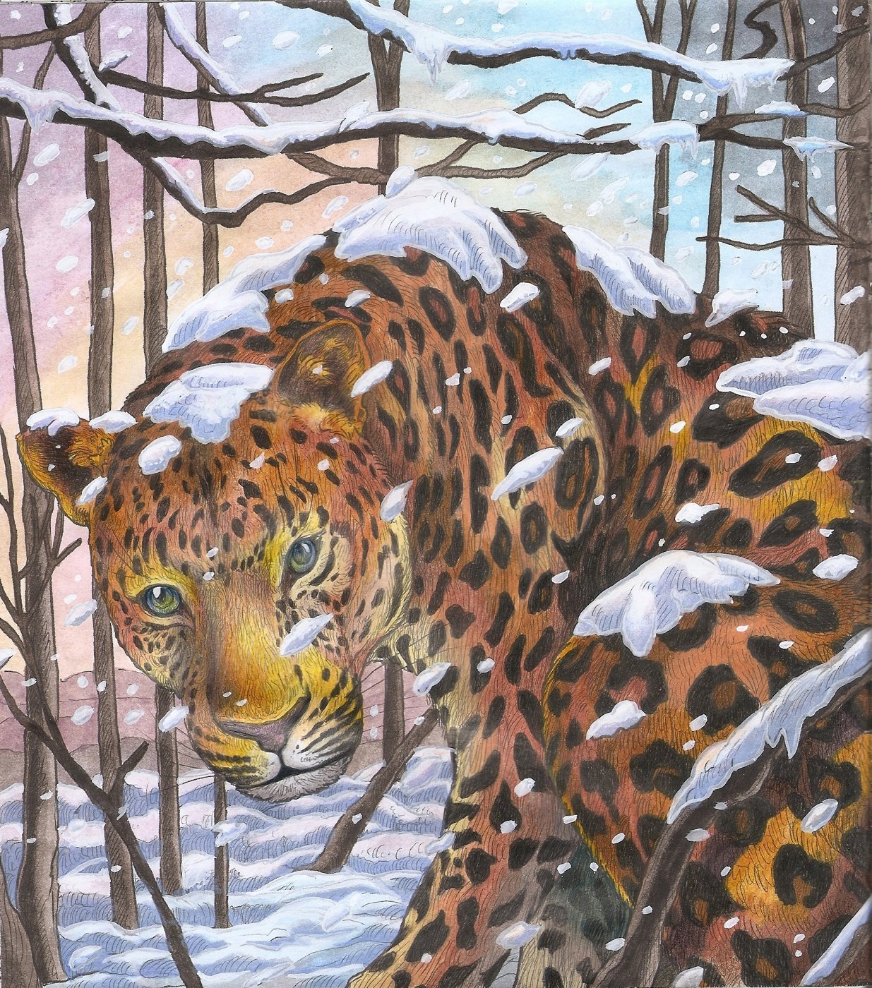 Леопард от Velle E.