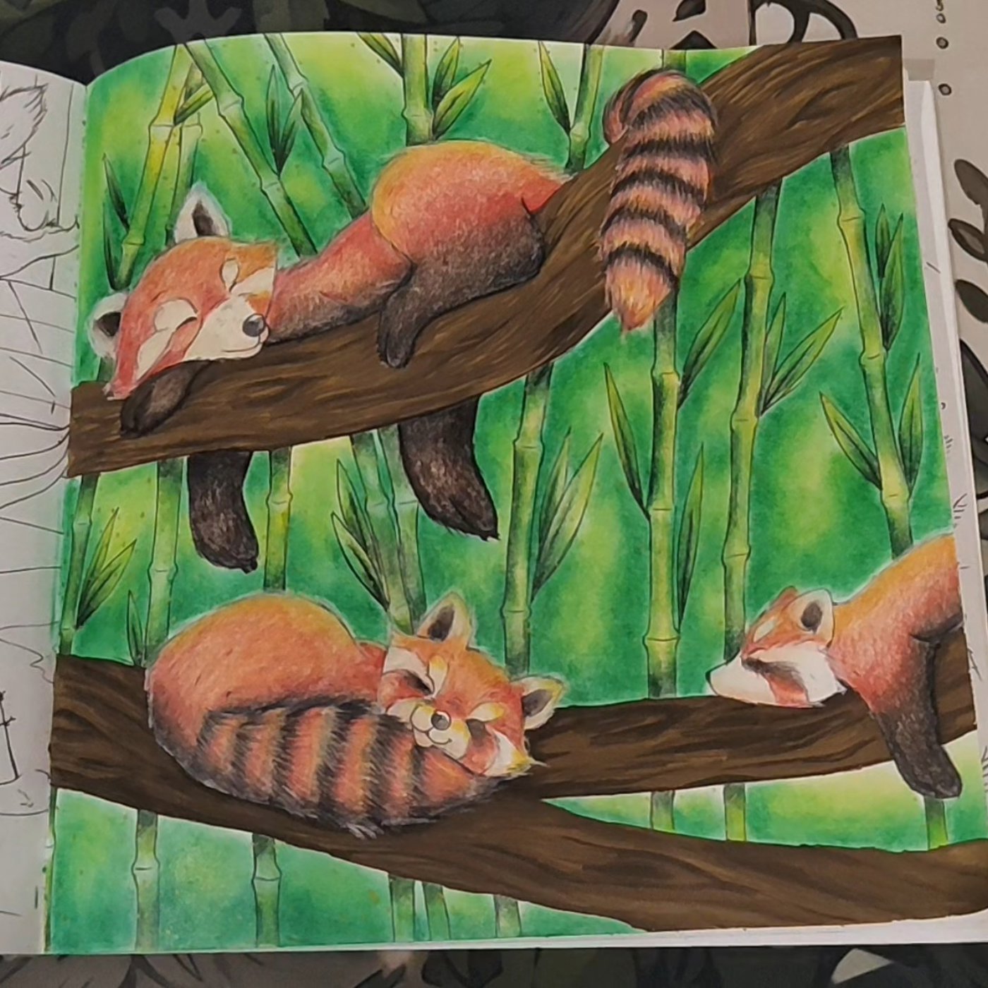 Работа от Magic Books Anna