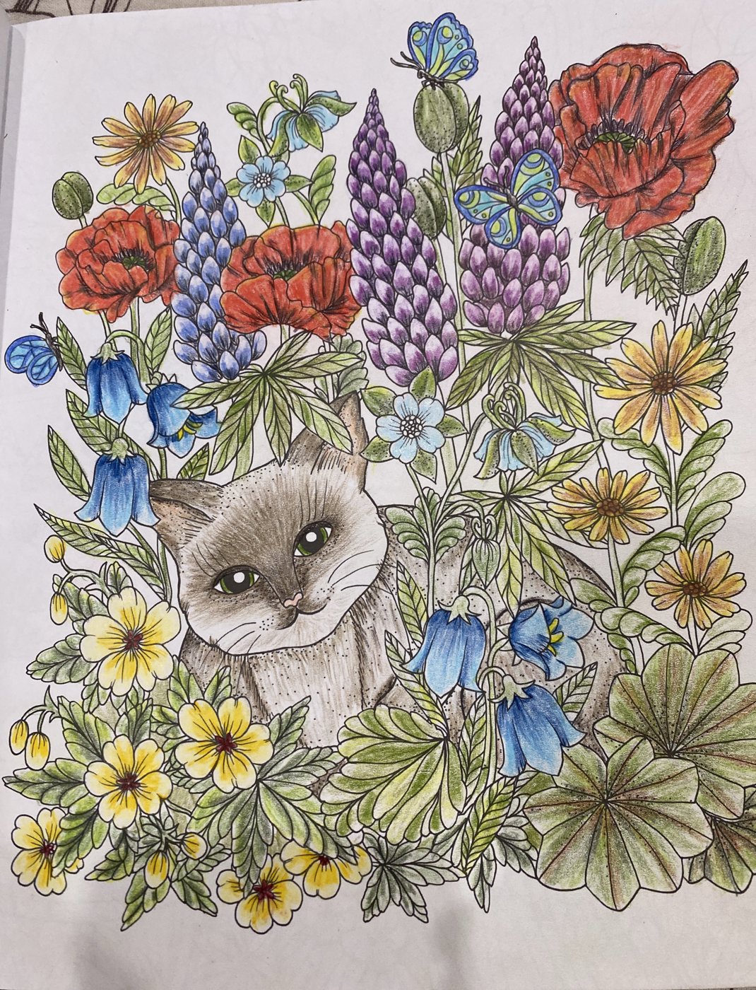 Работа от Lydmila