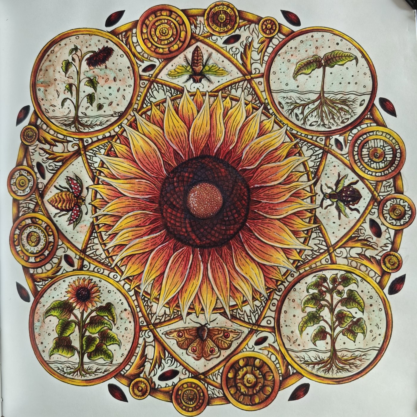 Работа от Anna Treyson