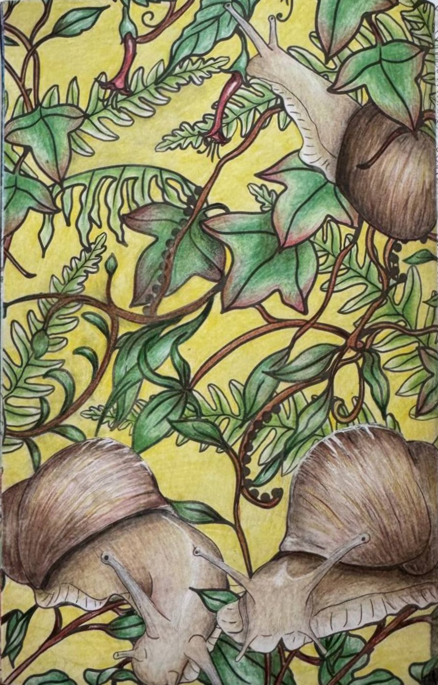 Работа от Katich