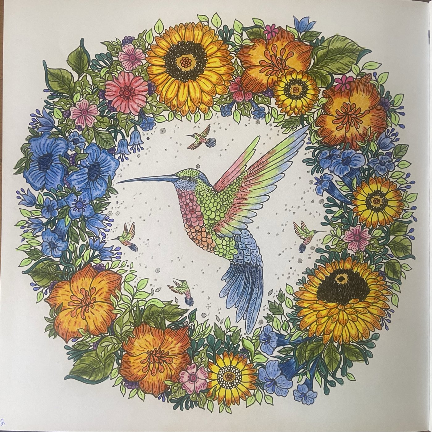 Колибри от YanchiMai