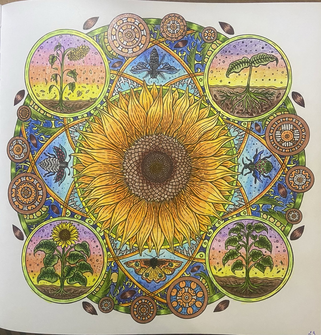 Работа от Яна_РазноцветноеНастроение