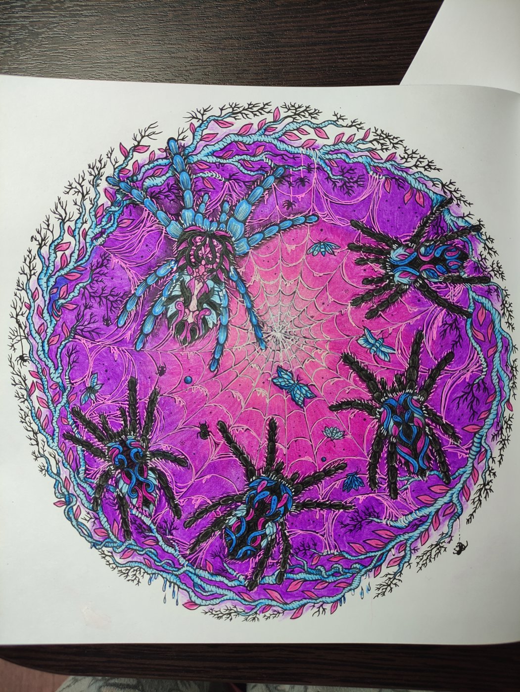 Пауки от Svetlana Gris