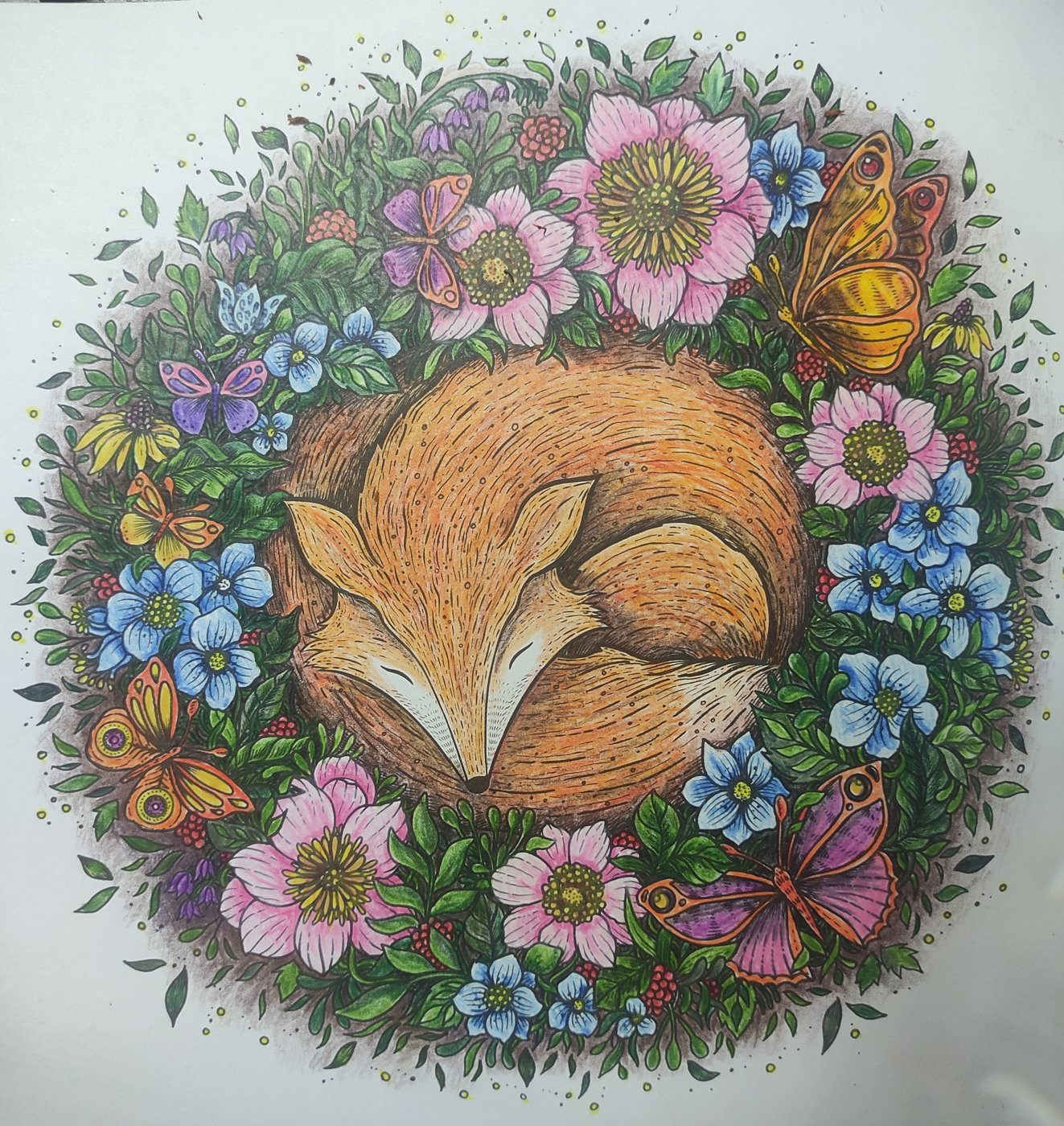 Лиса от Svetlana Gris