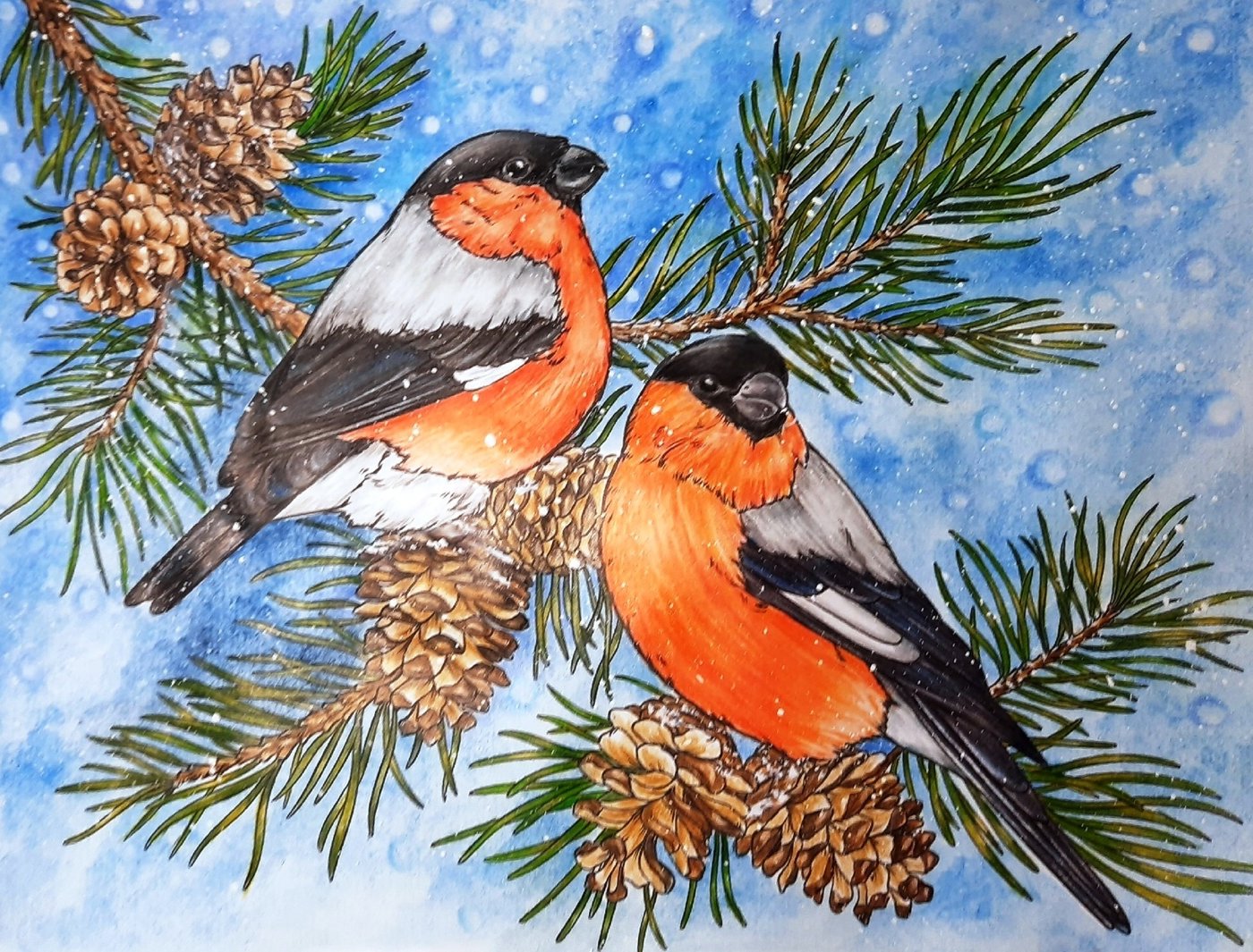 Работа от Toreno