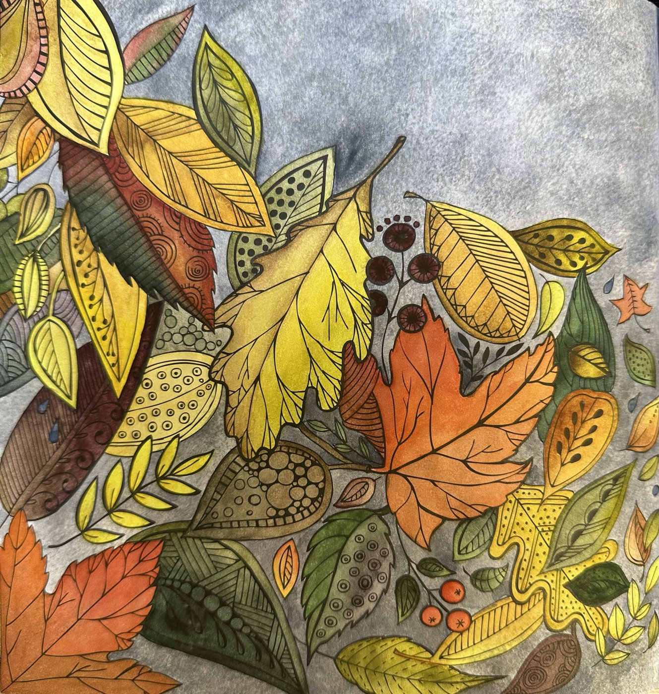 Работа от Dina (2/3)