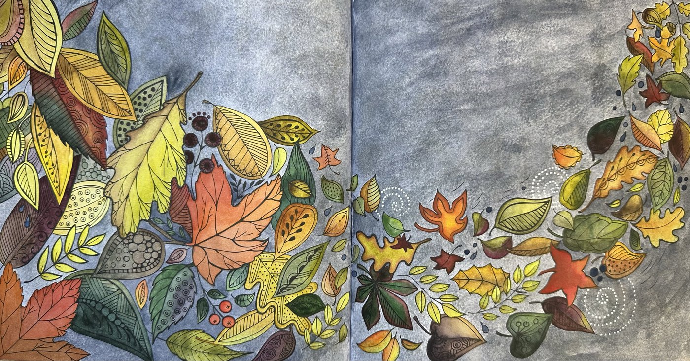 Работа от Dina (1/3)