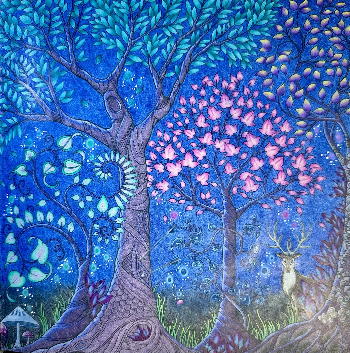 Работа от Dina (3/3)