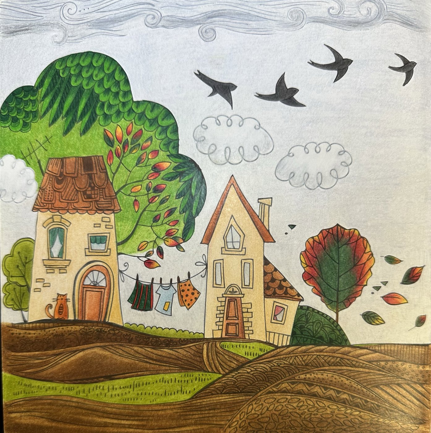 Работа от Dina (2/3)