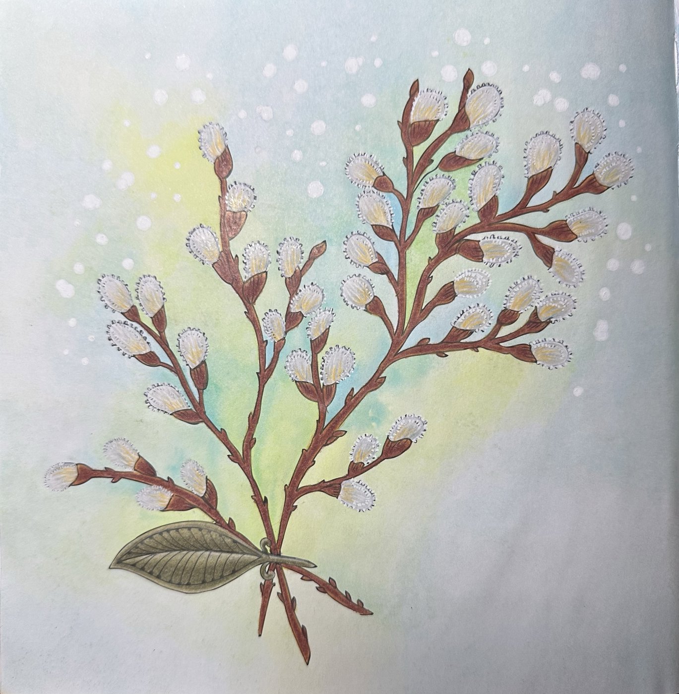 Работа от Dina