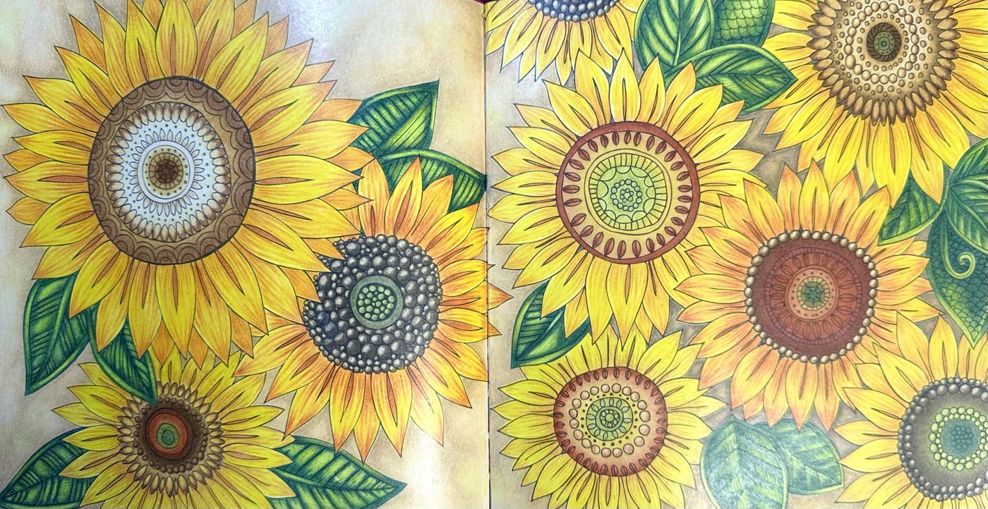 Работа от Dina (1/3)