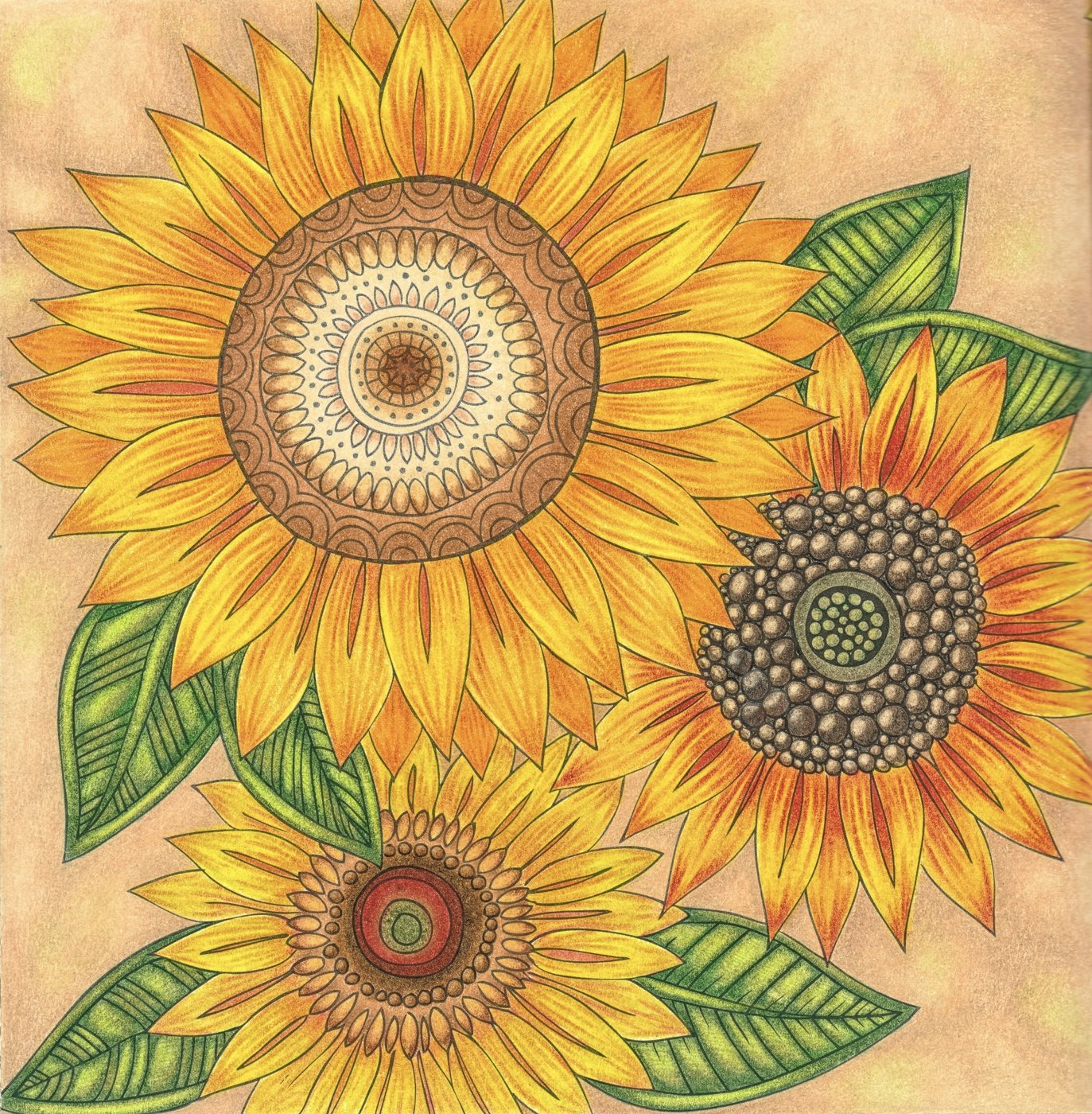 Работа от Dina (2/3)