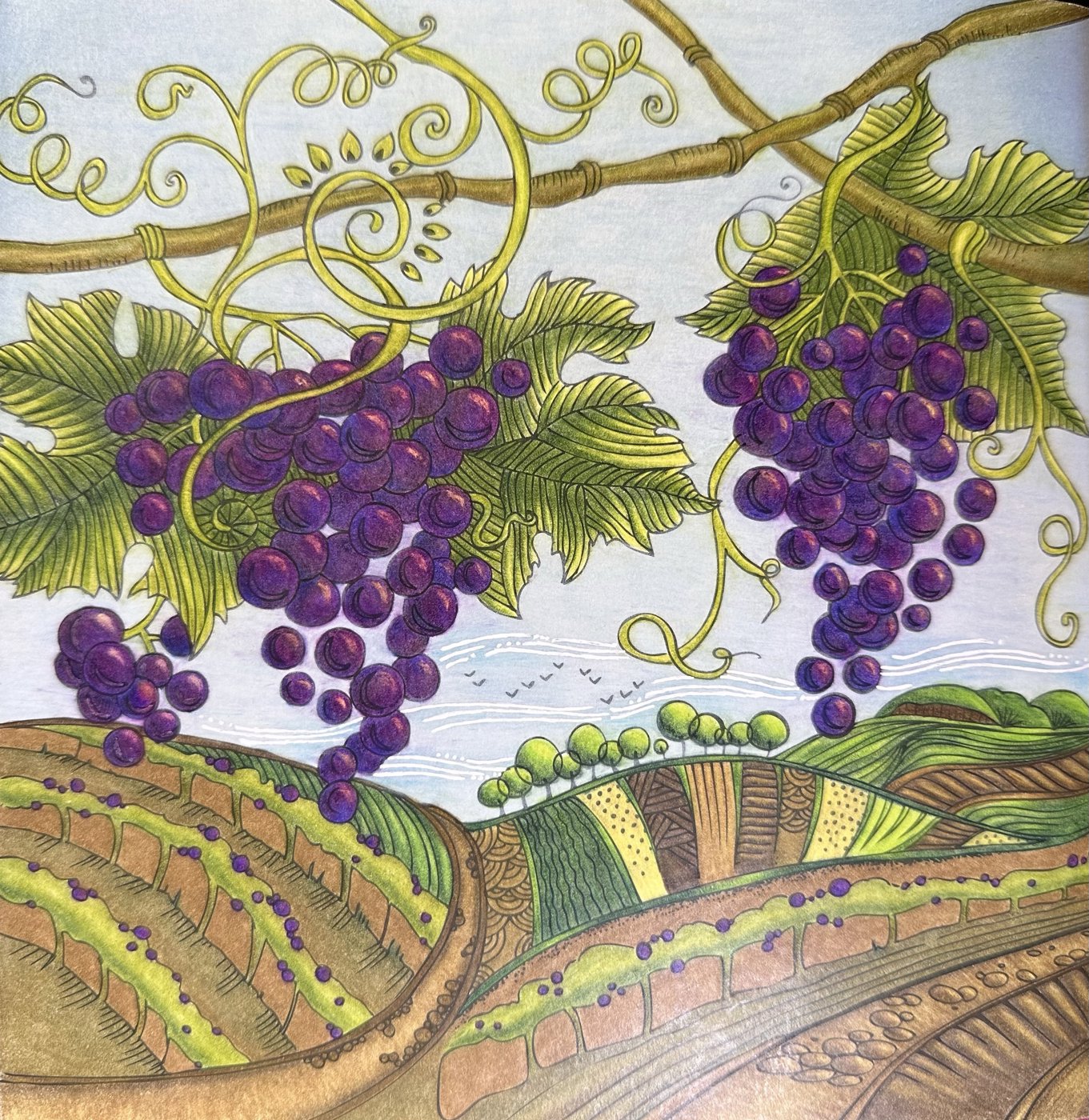 Работа от Dina