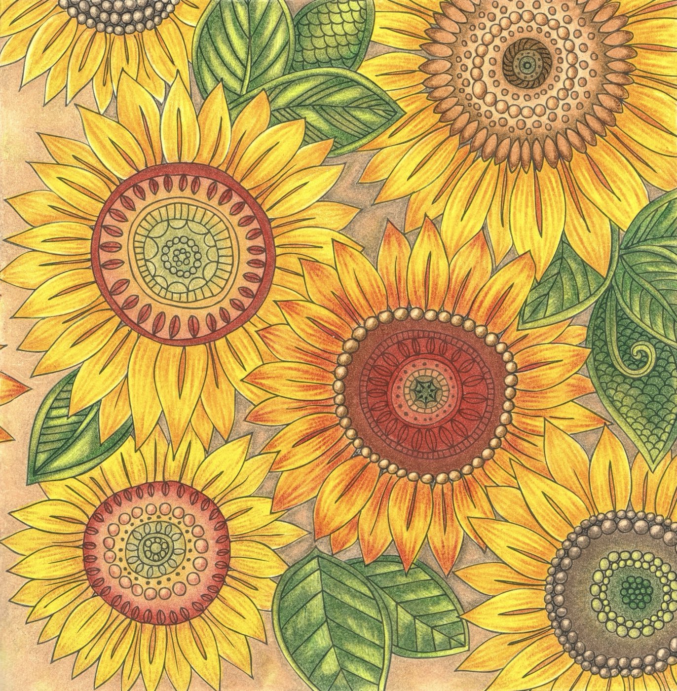 Работа от Dina (3/3)