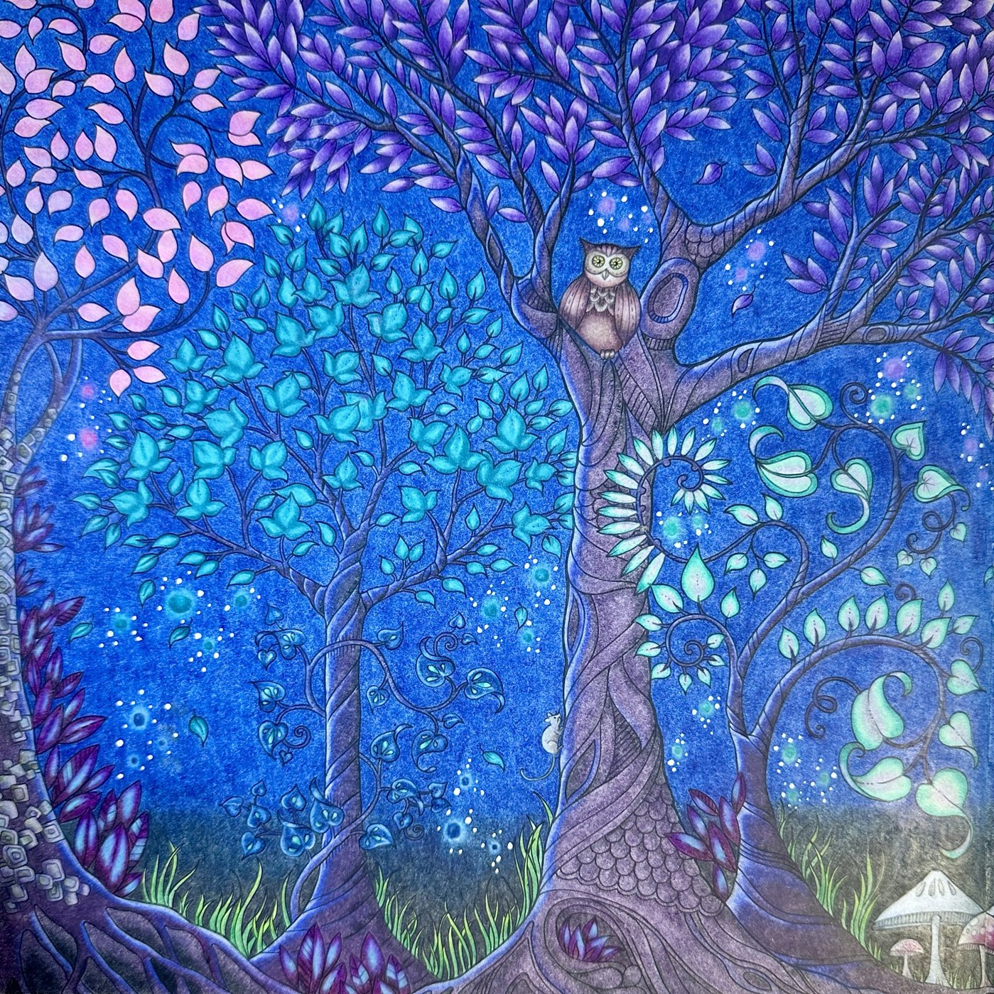 Работа от Dina (2/3)