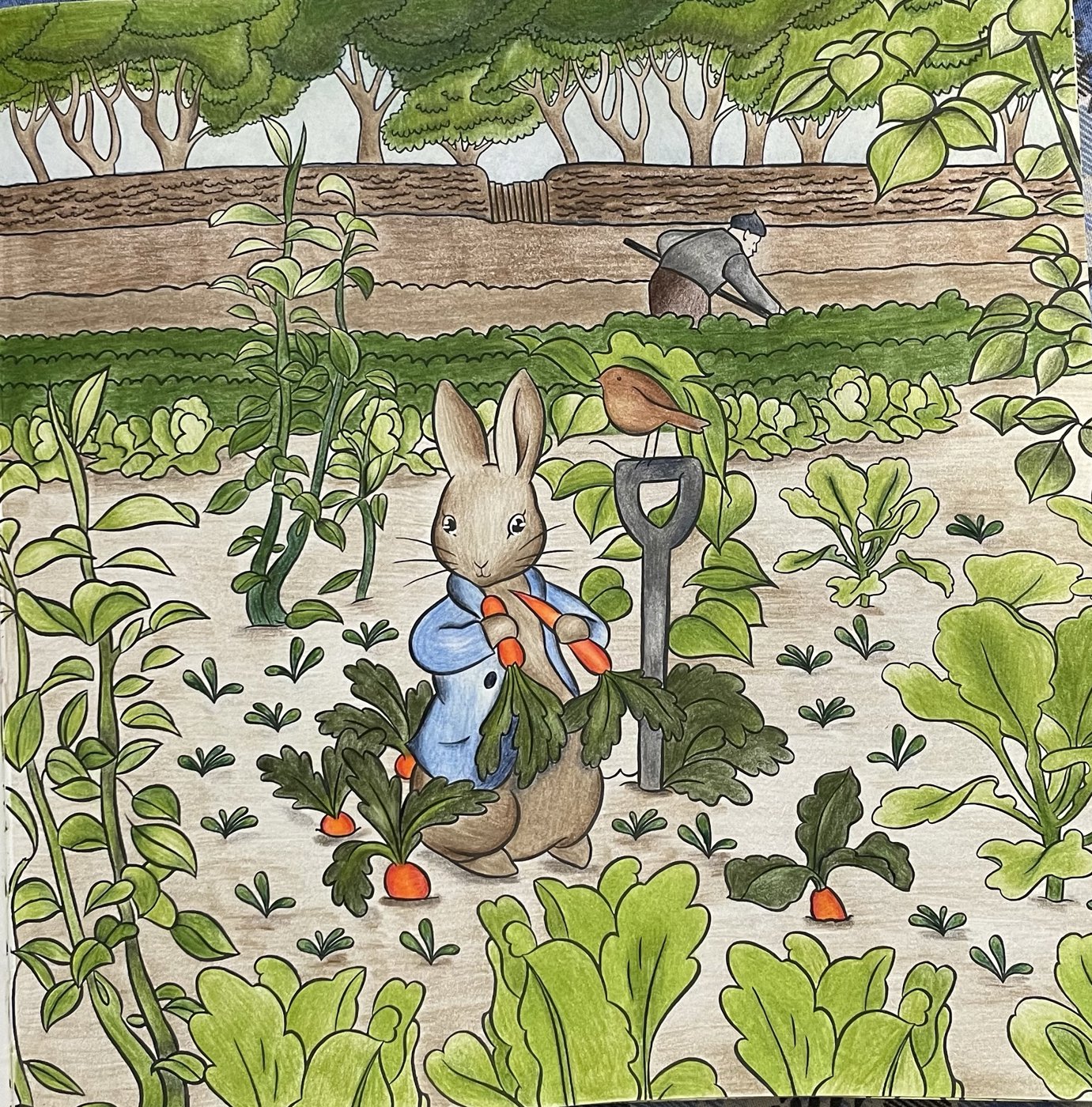 Работа от Nastya Vertal