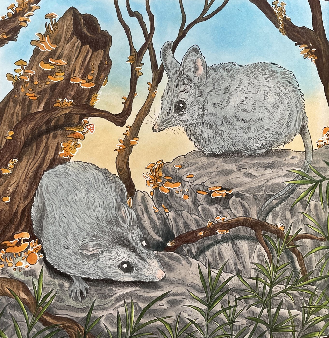 Работа от Nastya Vertal