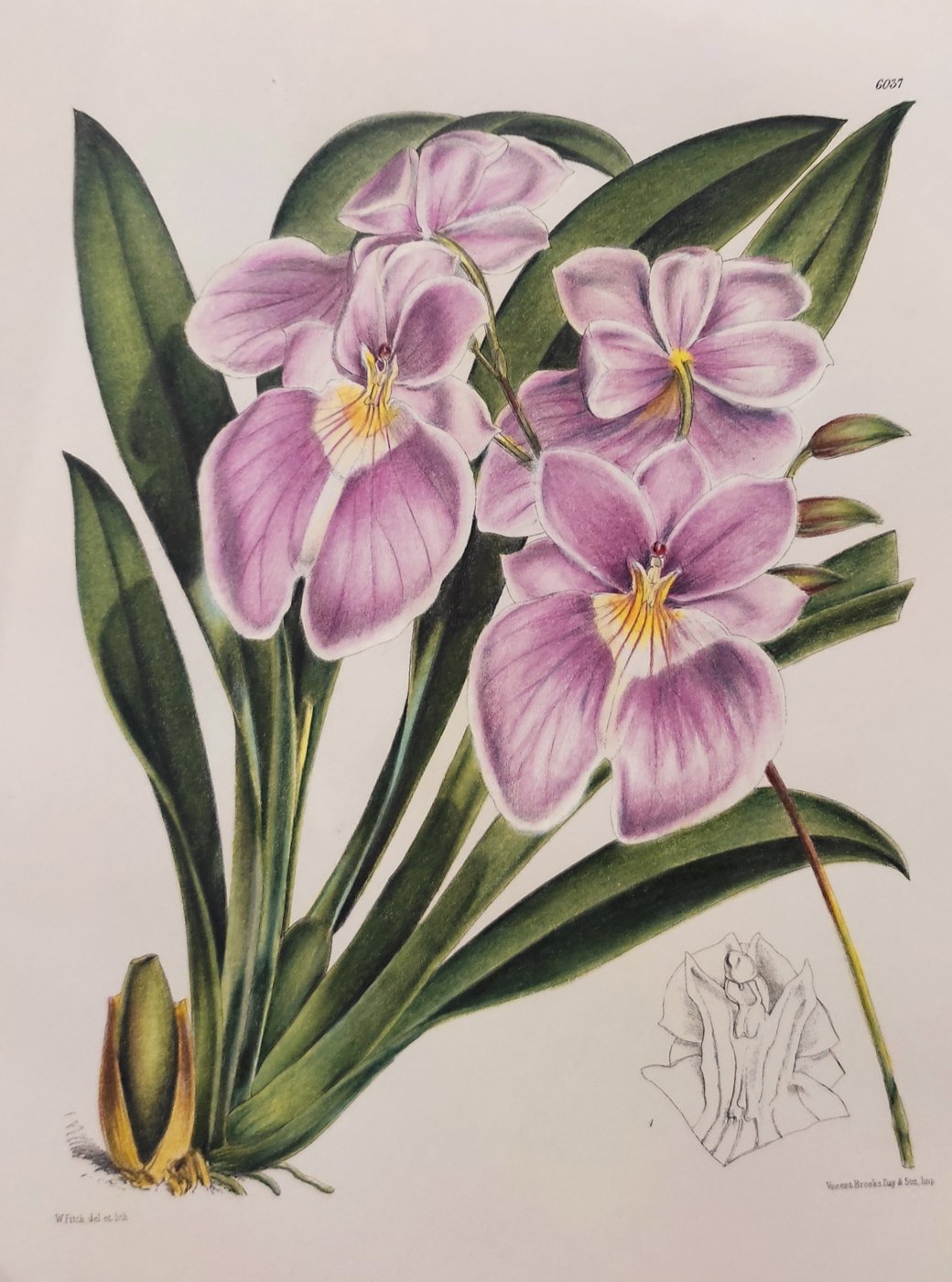 Работа от Nataliya  Kopchenova