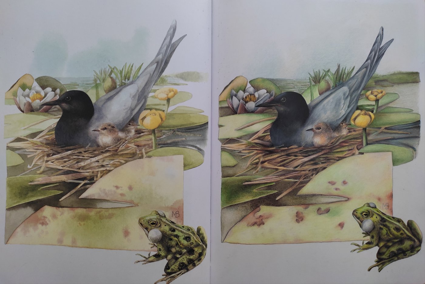 Работа от Nataliya  Kopchenova