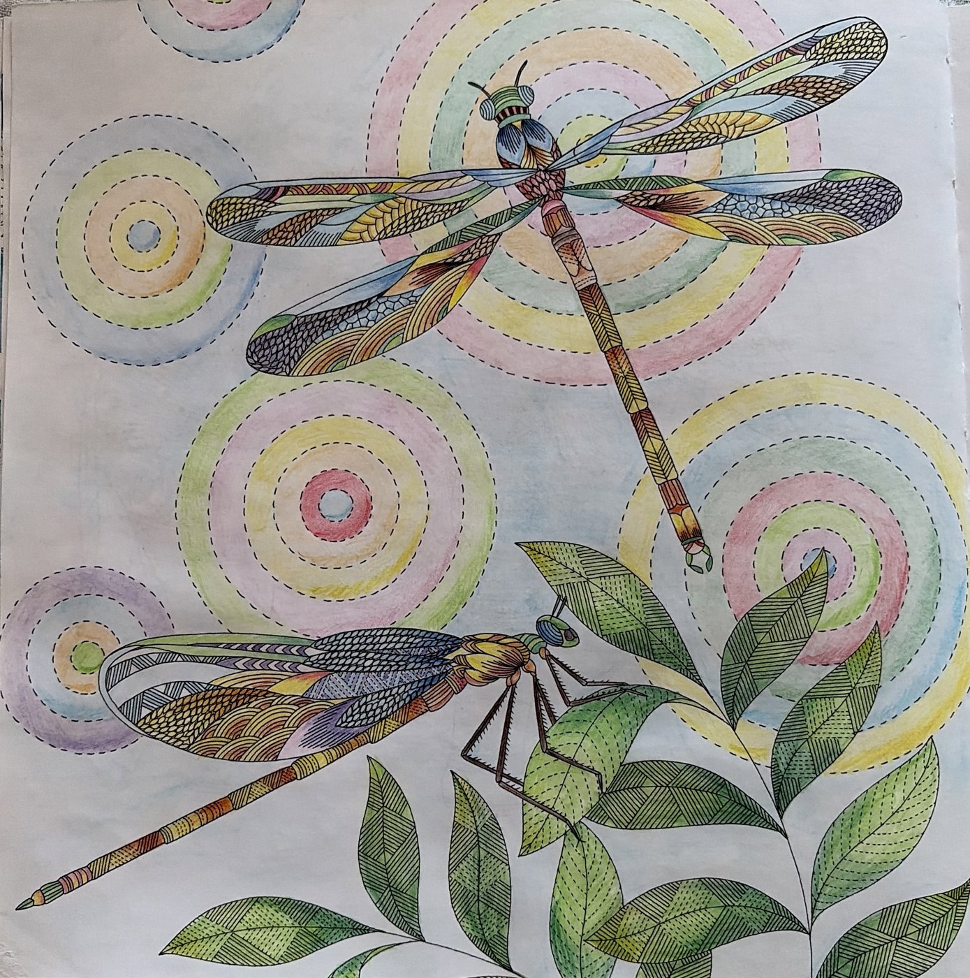 Работа от Julia_rub96