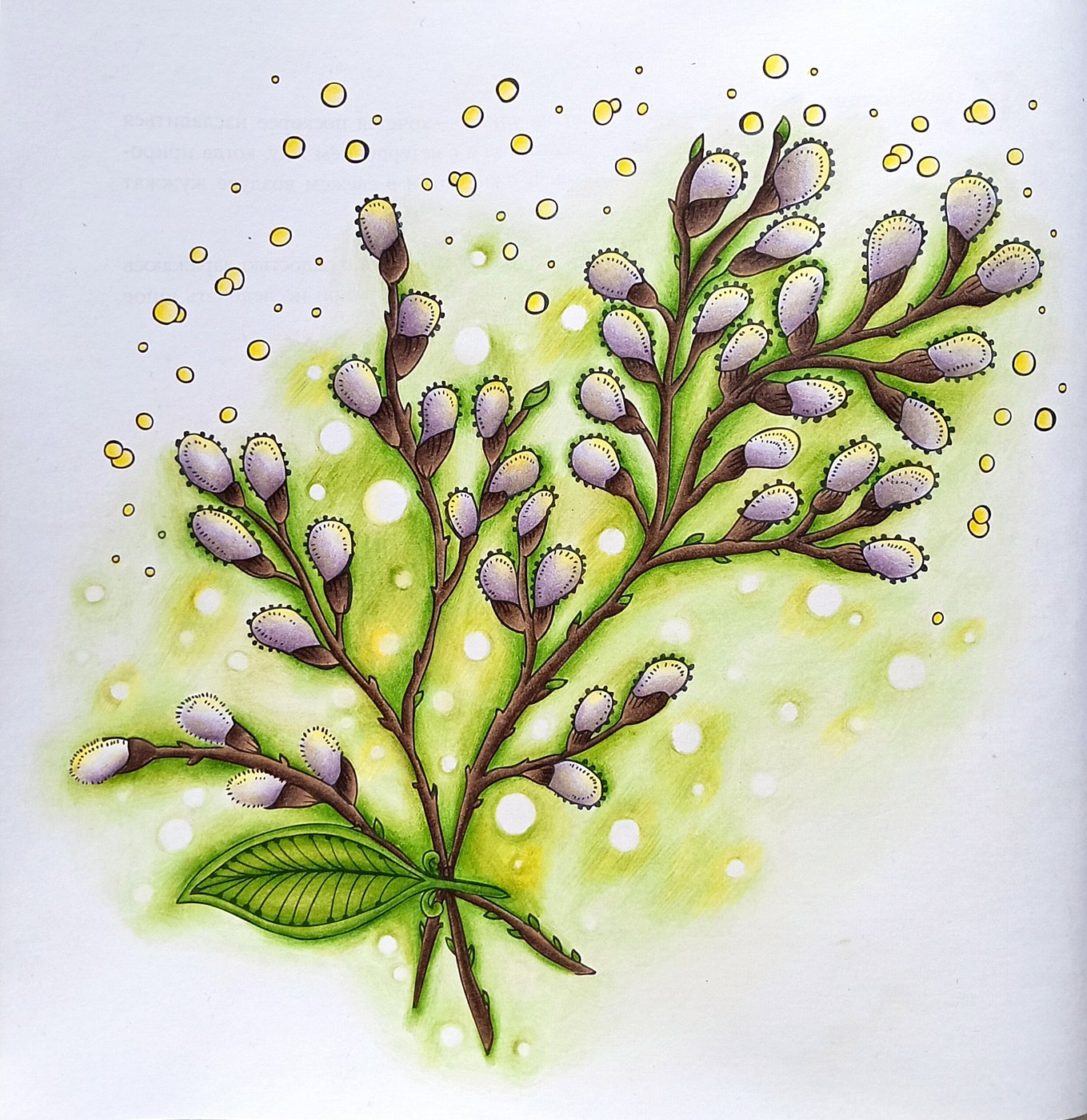 Работа от Dreammmmer