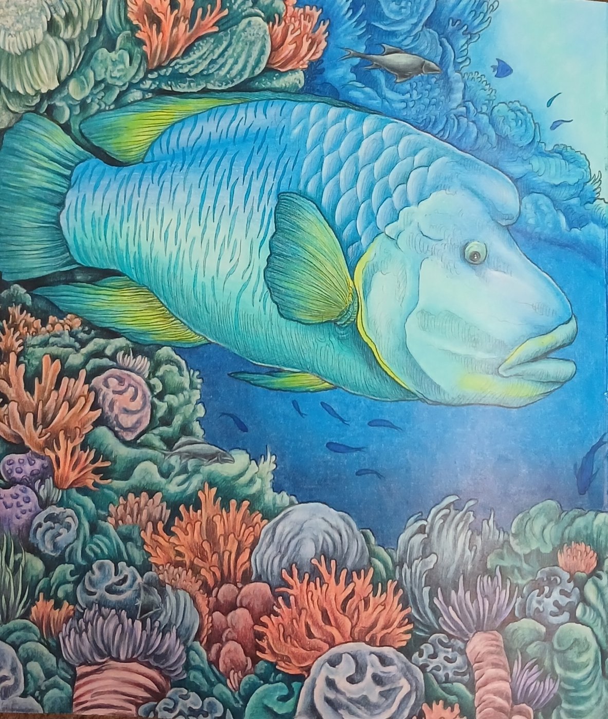 Работа от Kristina