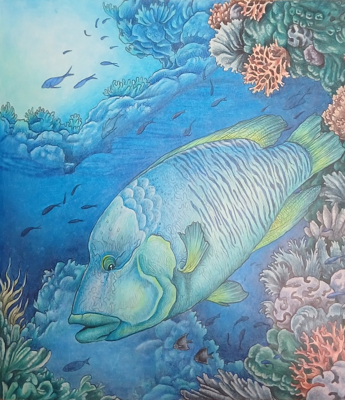 Работа от Kristina