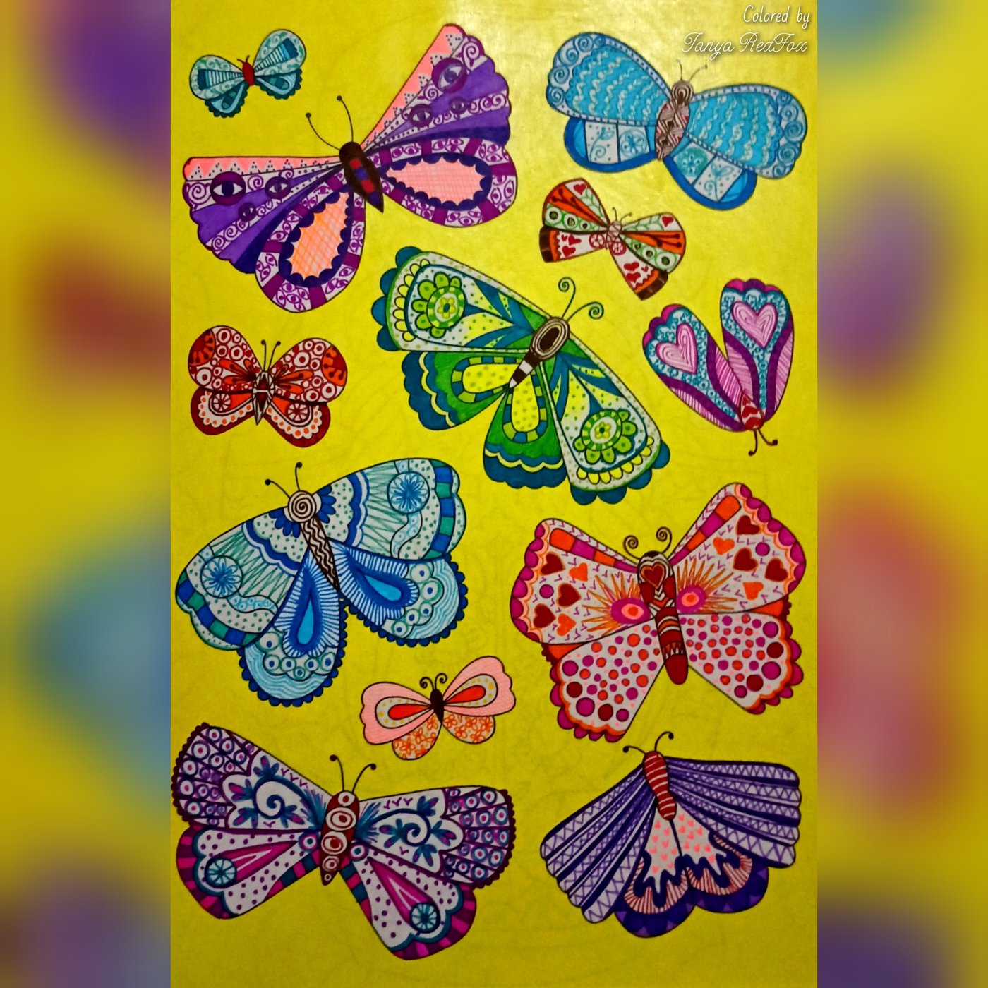 Креативные бабочки 🦋 от Tanya RedFox