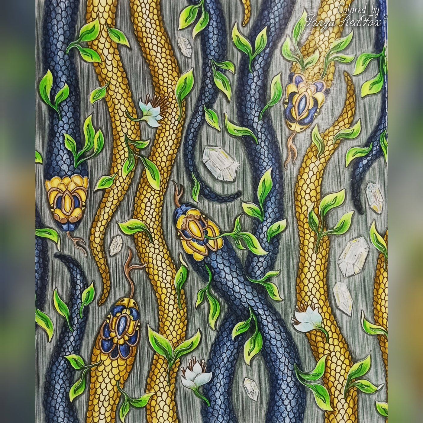 Змейки от Tanya RedFox