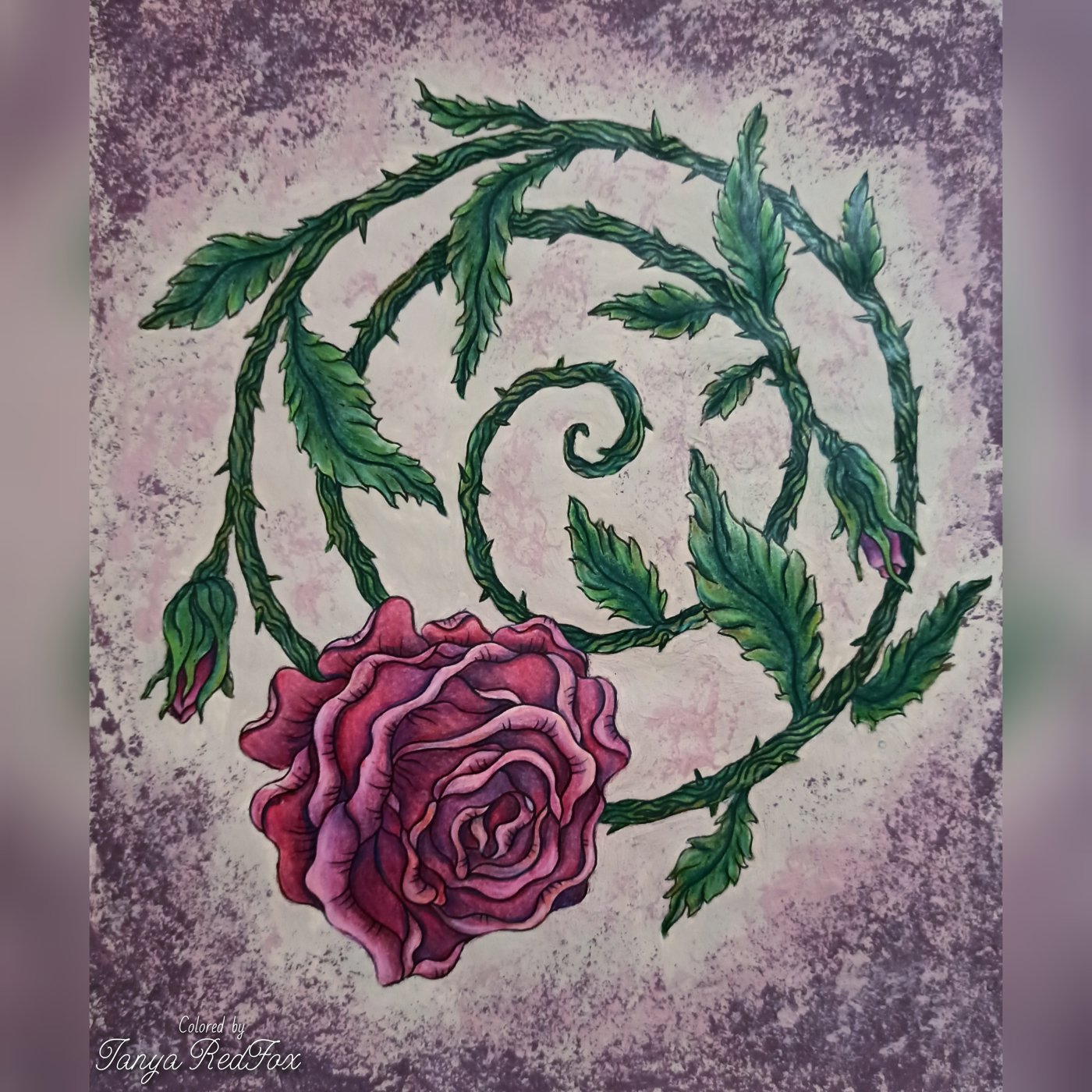 Роза от Tanya RedFox