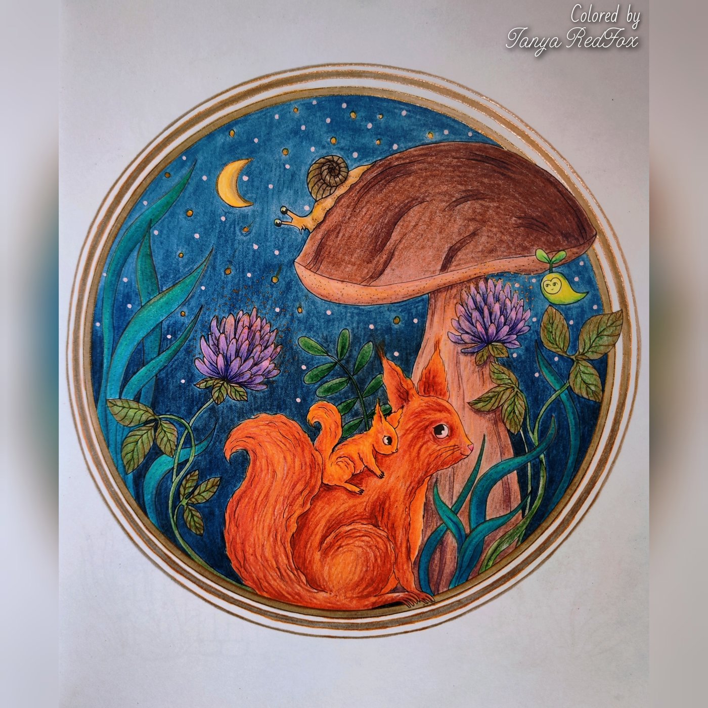 Белка с бельчонком у гриба от Tanya RedFox