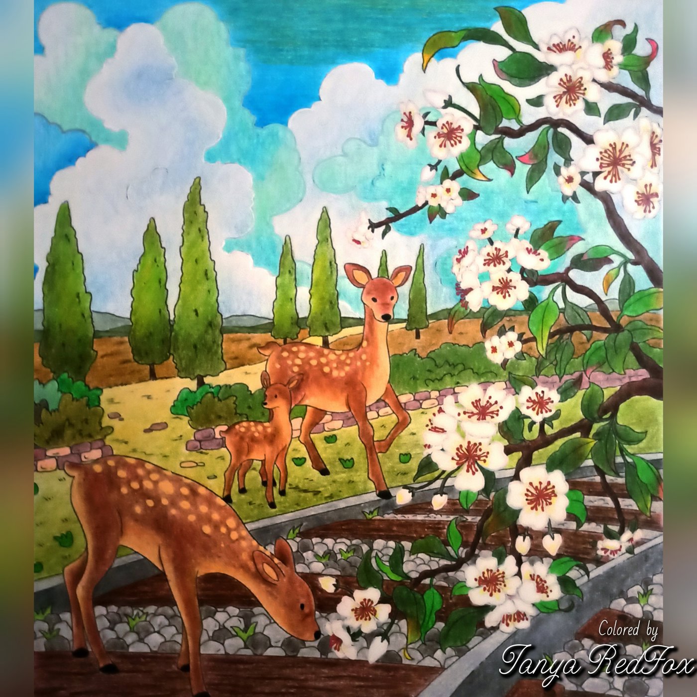 Оленята весной от Tanya RedFox