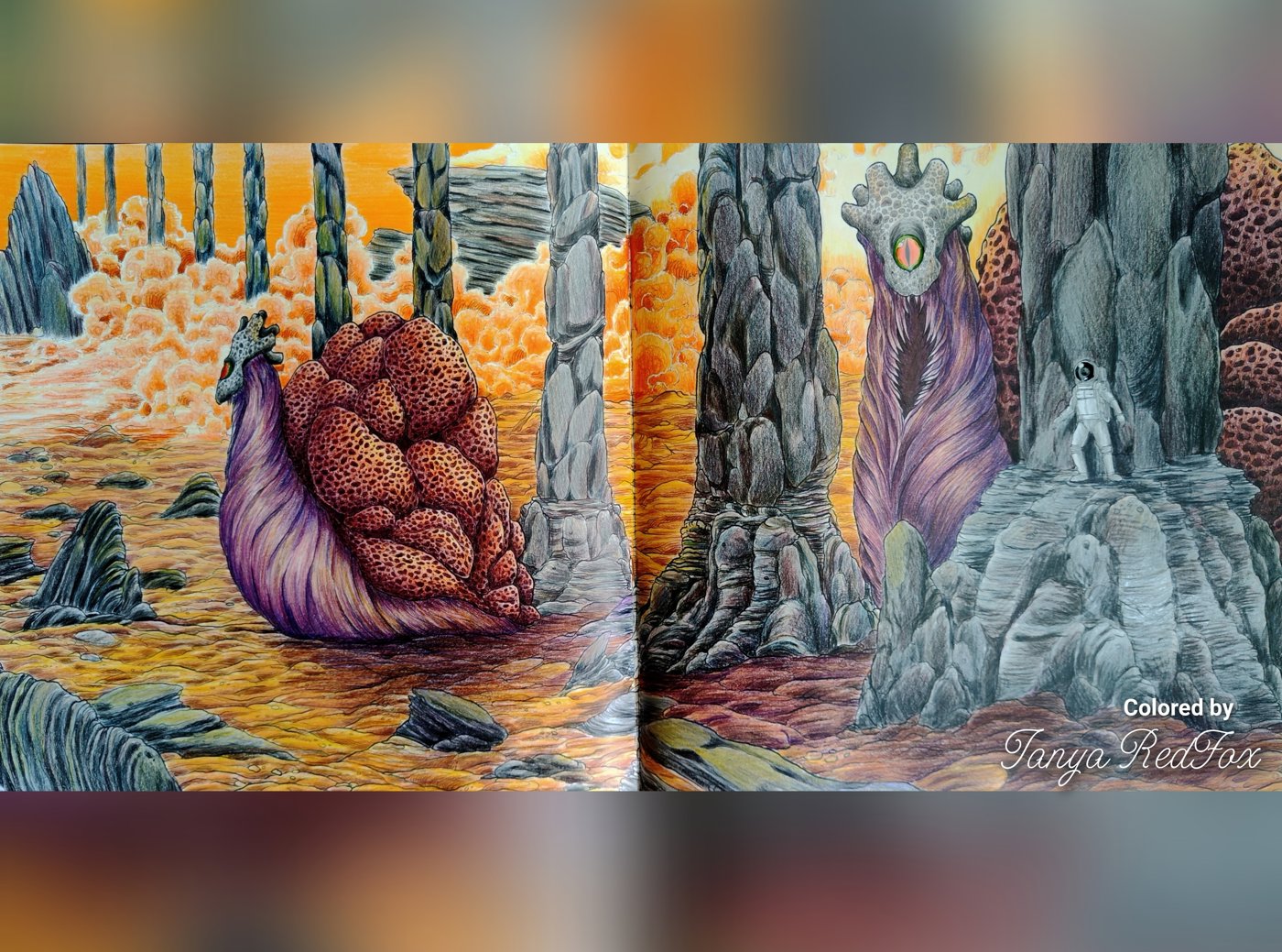 Rock movers от Tanya RedFox