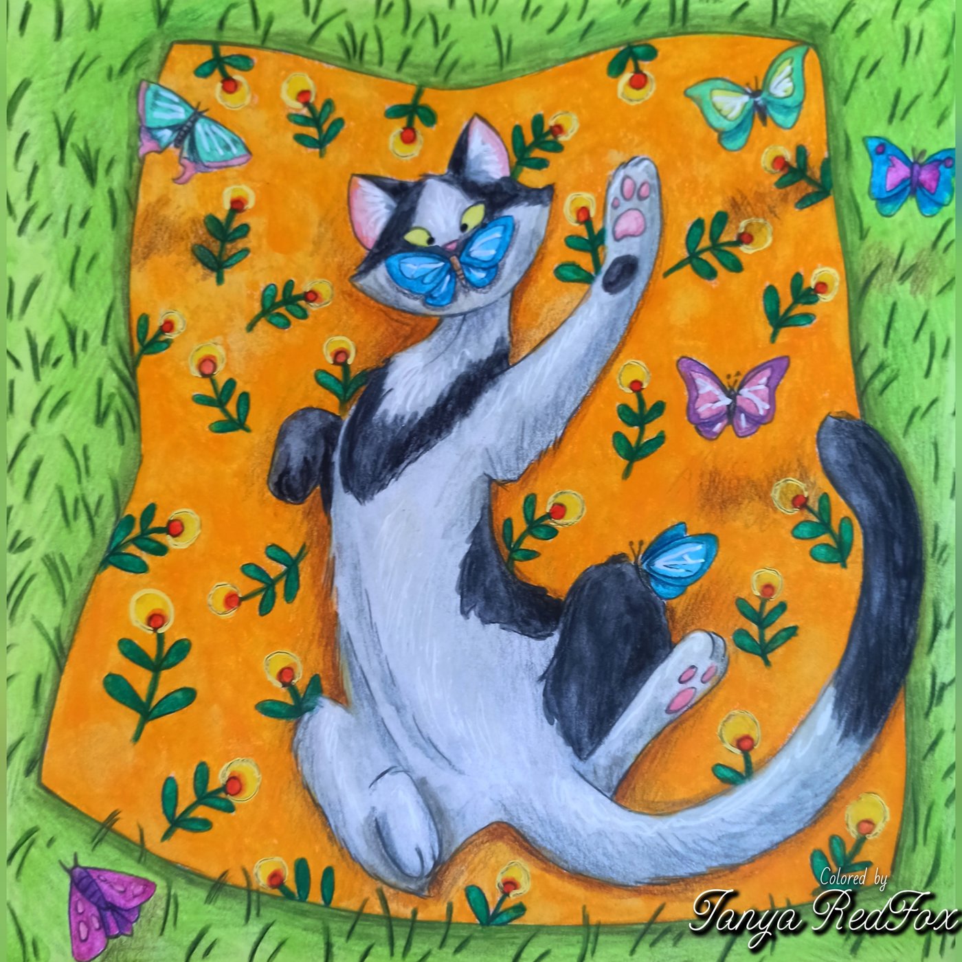 Котик играет с бабочками от Tanya RedFox