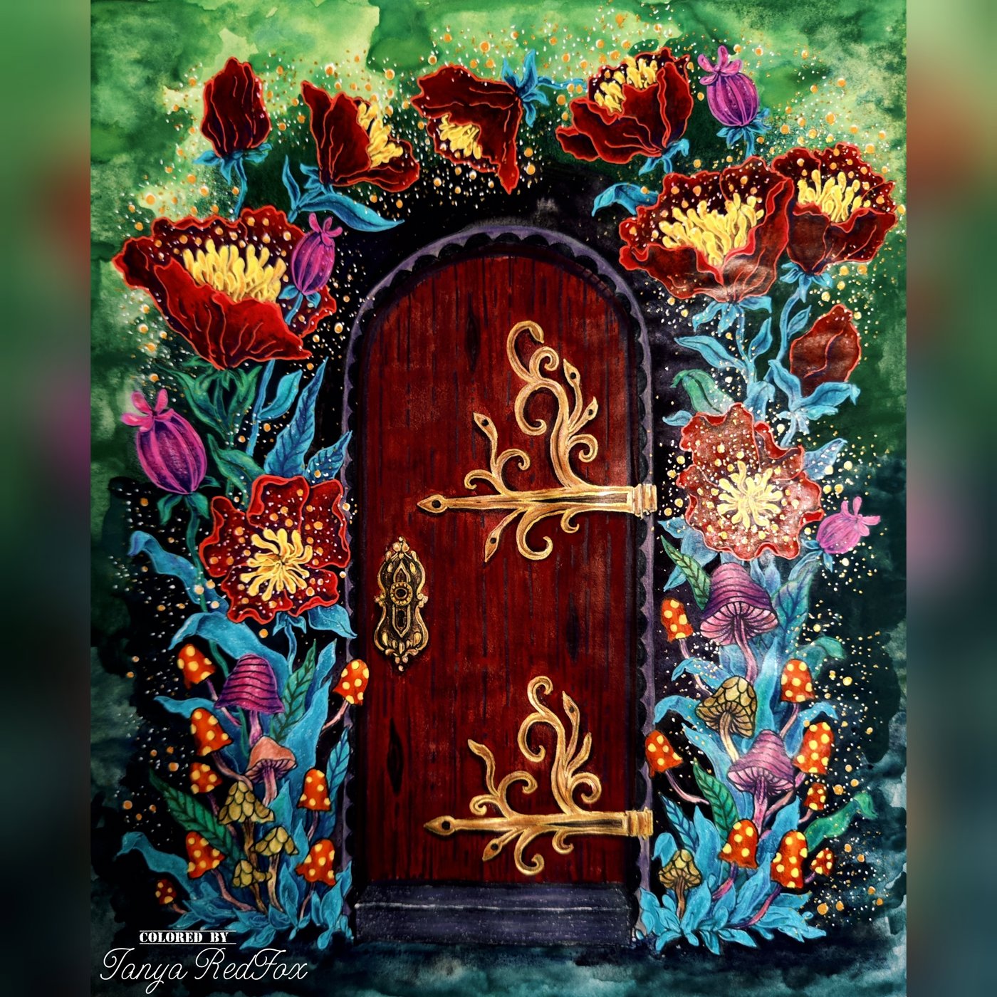 Портал в неизведанное от Tanya RedFox