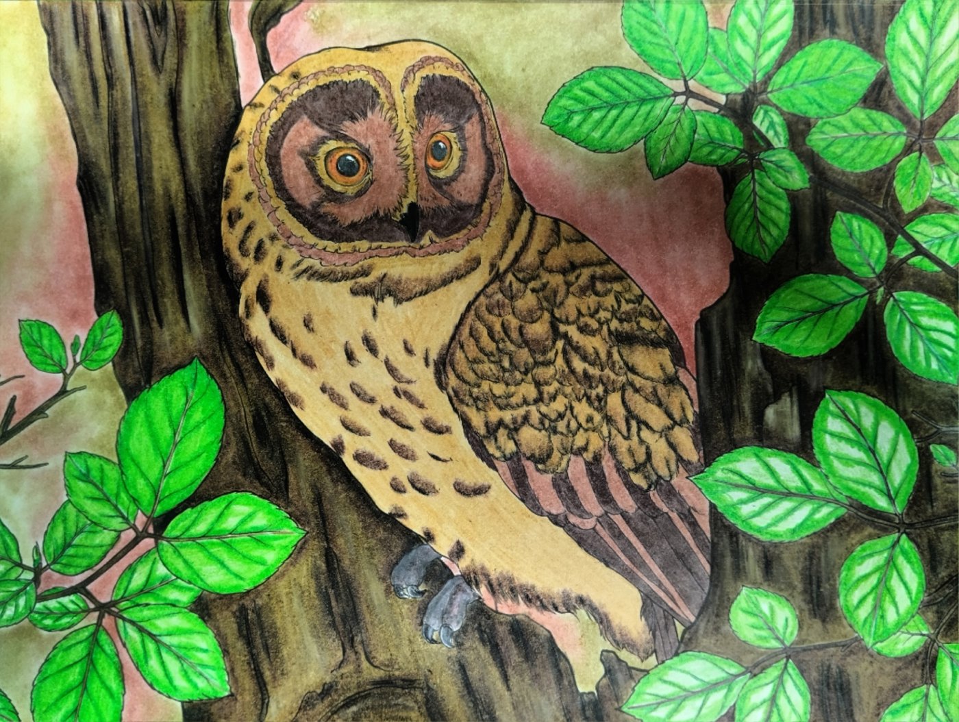 Работа от Роман (1/2)