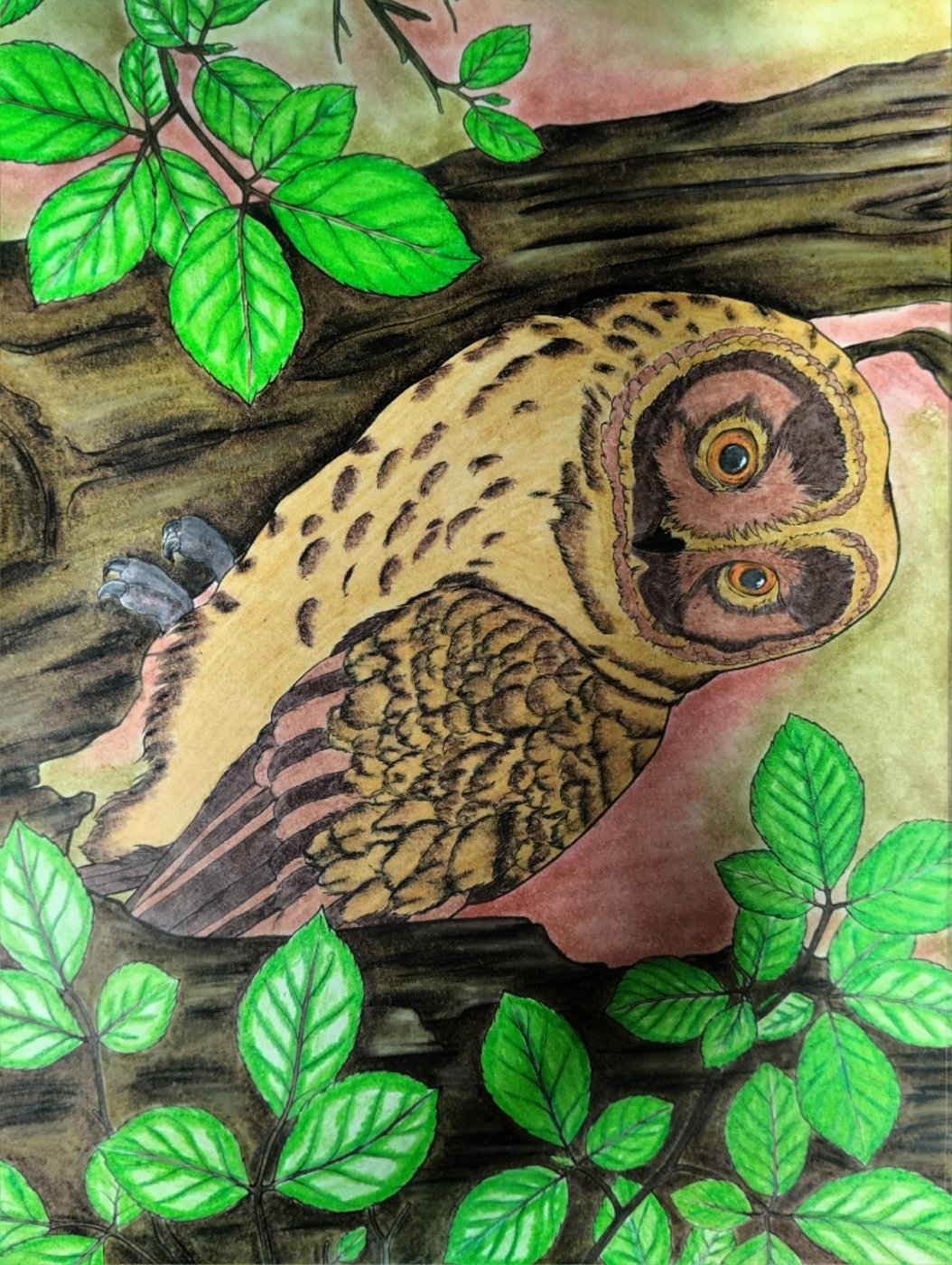 Работа от Роман (2/2)