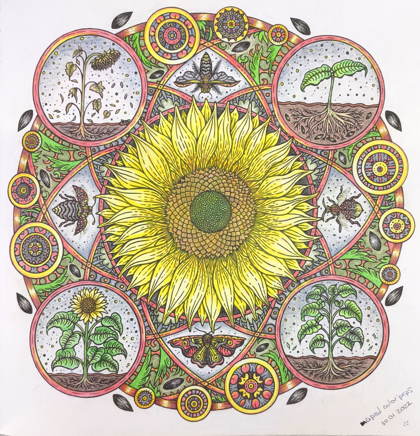 Работа от Ammirael