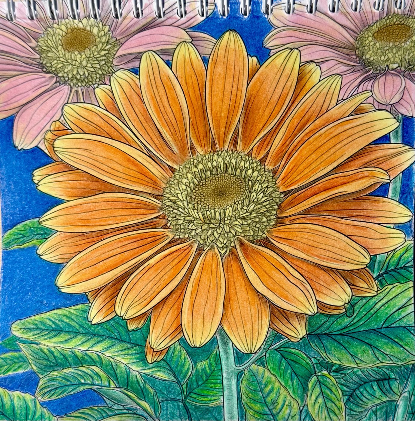 Работа от Elysa SunTabby