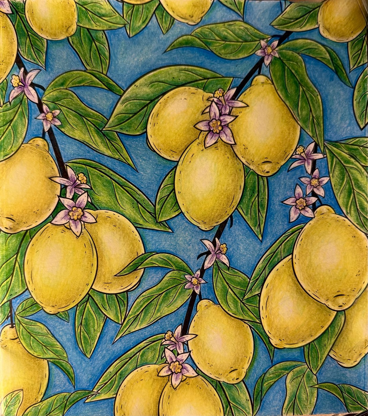 Работа от Elysa SunTabby