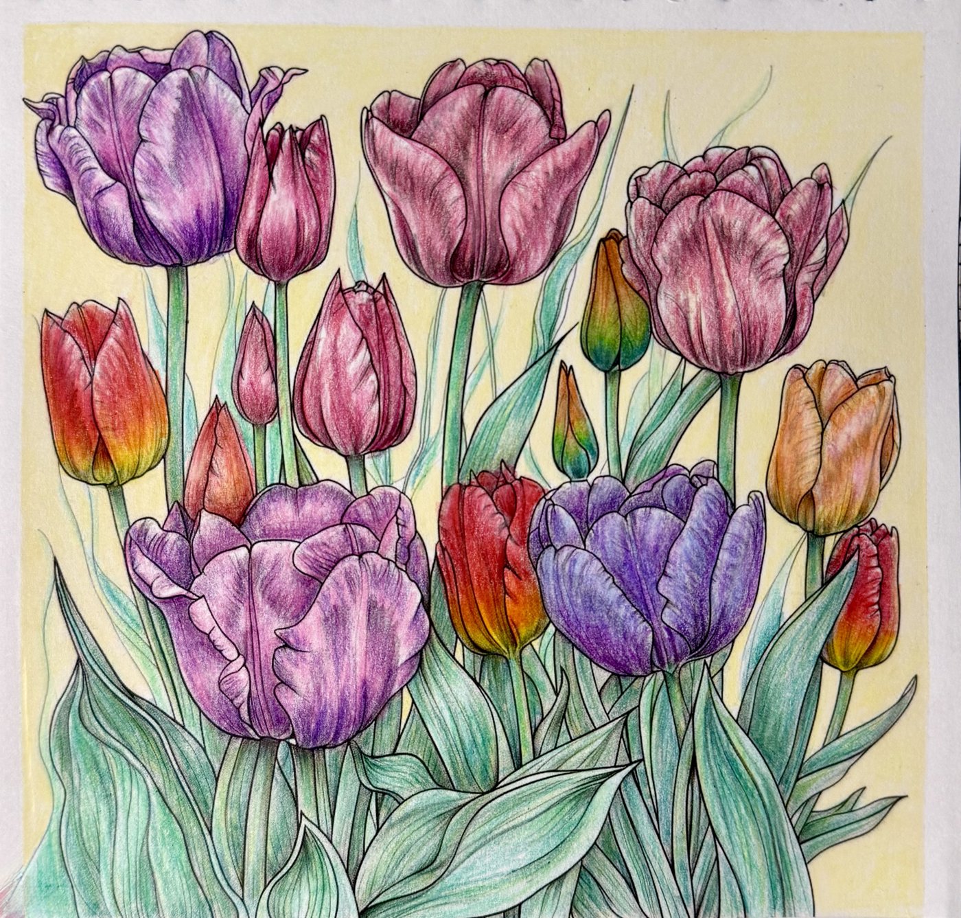 Работа от Elysa SunTabby