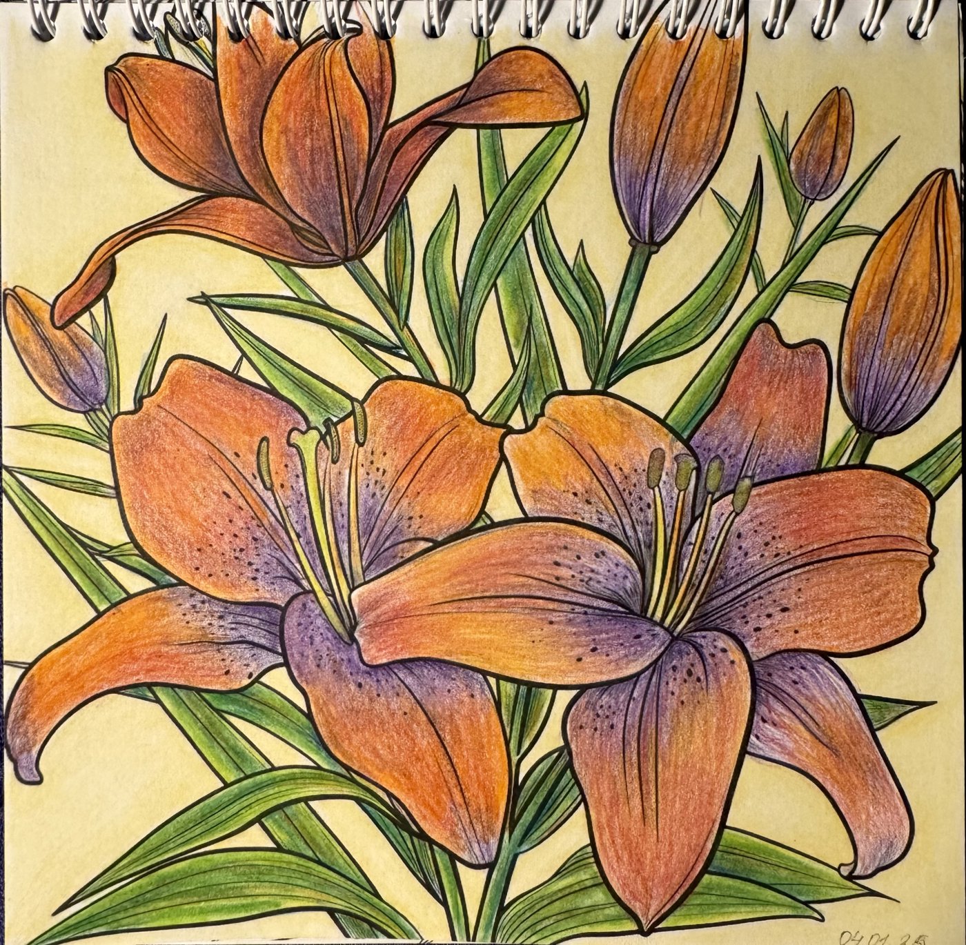 Работа от Elysa SunTabby