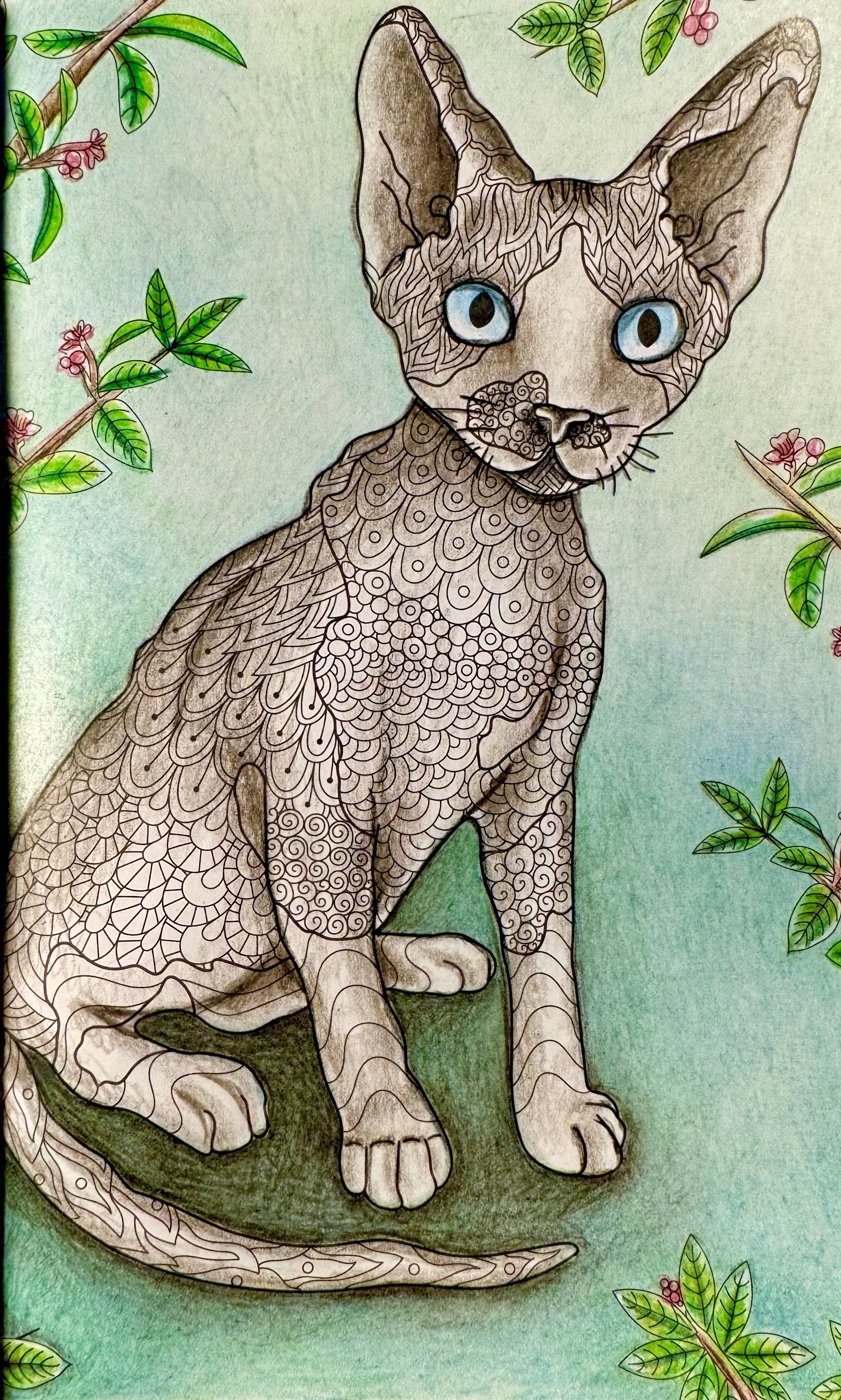 Работа от Elysa