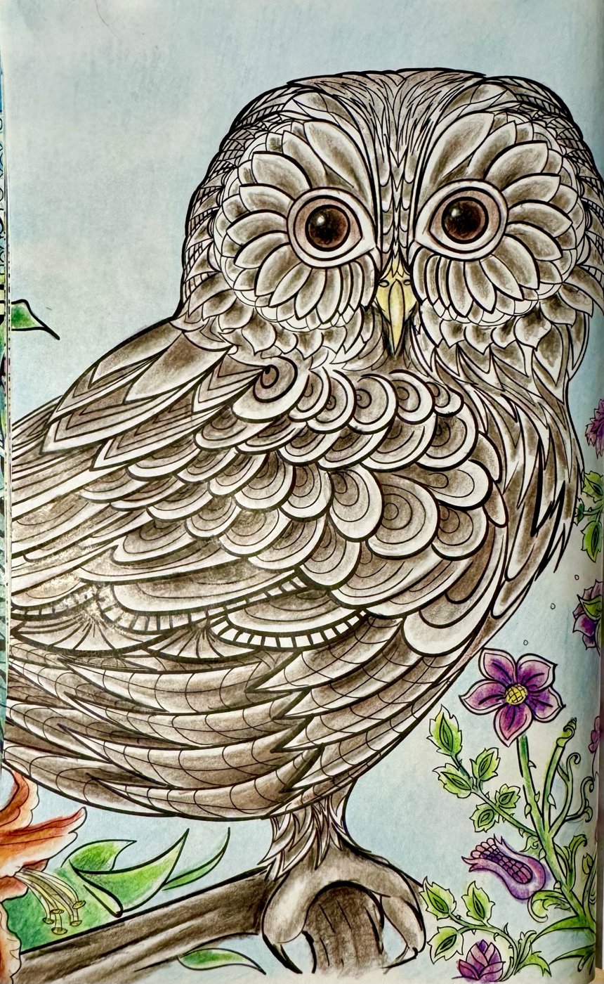 Работа от Elysa