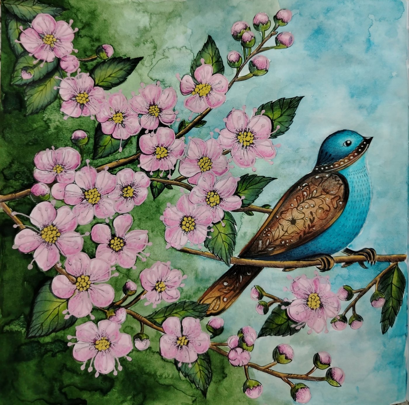 Работа от svetasik