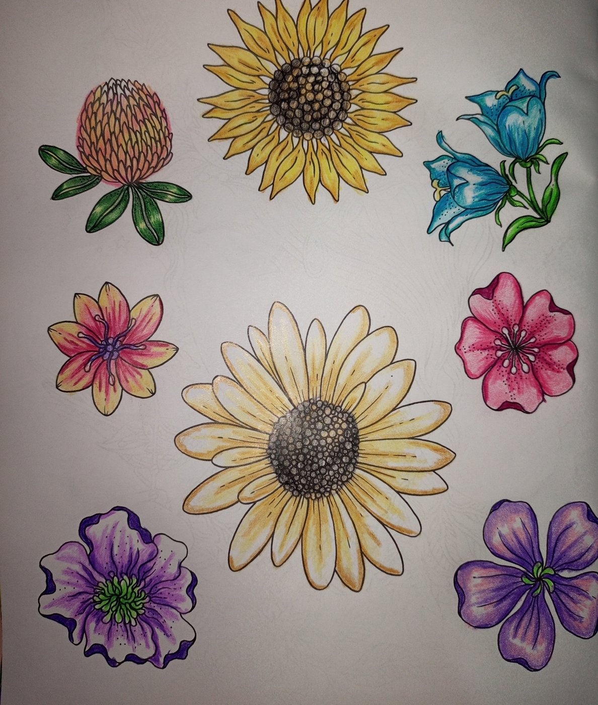 Работа от Ariel159000