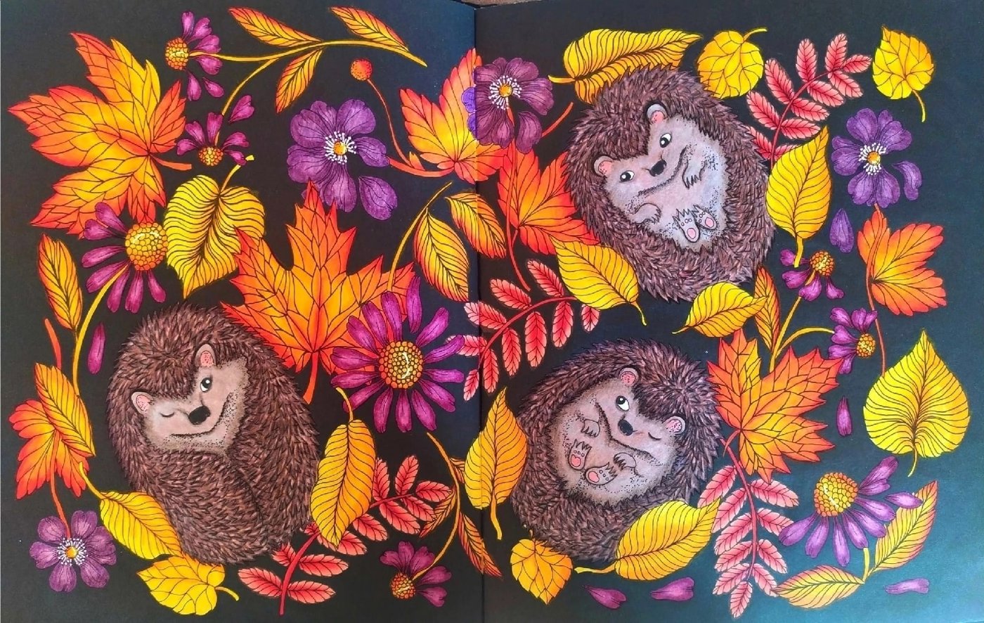 Работа от Daria_coloring_hobby